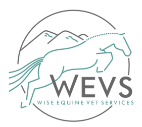 Wise Equine Vet