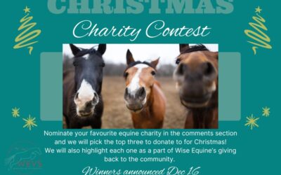 Christmas Charity Contest!