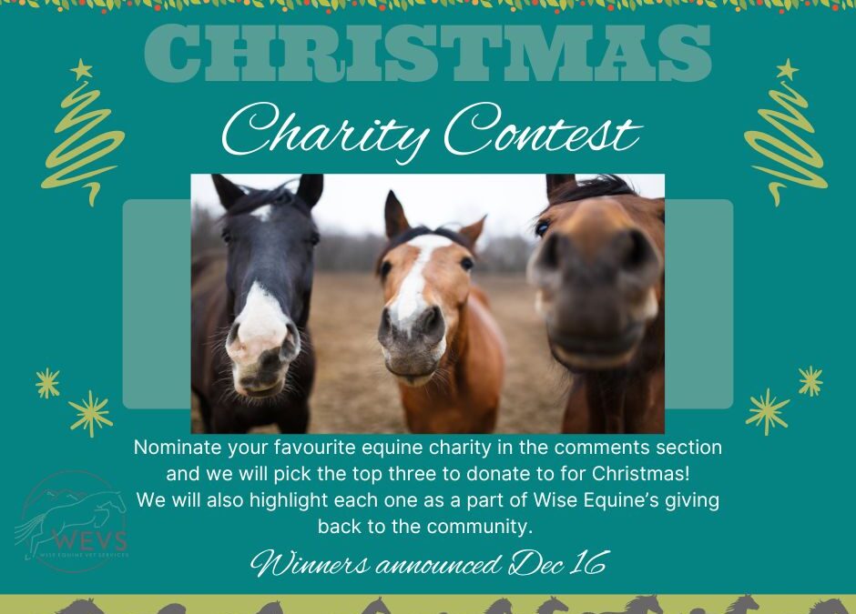 Christmas Charity Contest!