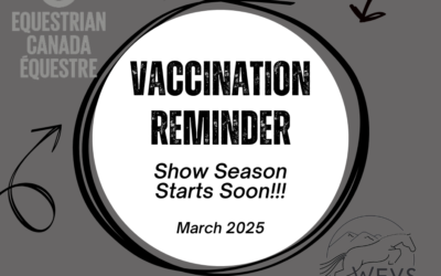 Vaccination Information