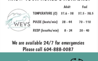 Know your horse’s Temperature, Pulse and Respiration Normals