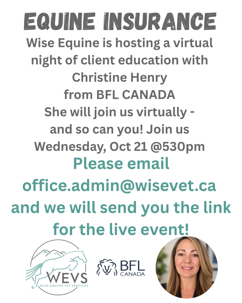 BFL Virtual Talk – Oct 21, 2026 5:30pm